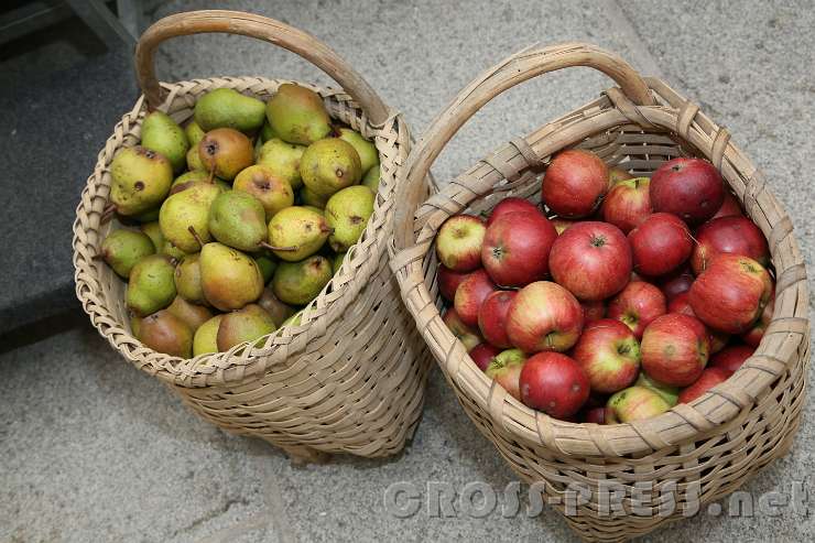 2016.09.25_10.53.12.jpg - Mostviertler Äpfel und Birnen, frisch geerntet.