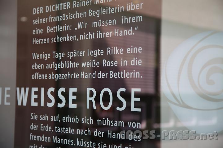 2012.06.21_09.53.08.jpg - Gedanken über die weiße Rose von Rilke und den Geschwistern Scholl.