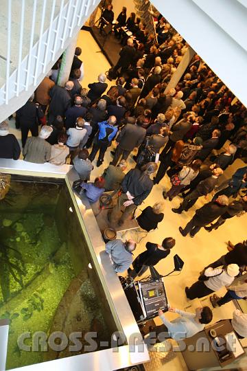 2013.02.23_16.24.36.jpg - Durch die Dauerausstellung ist das Landesmuseum Niederösterreich auch gleichzeitig Zoo mit lebenden Fische, Amphibien und Reptilien in riesigen Aquarien und Terrarien.
